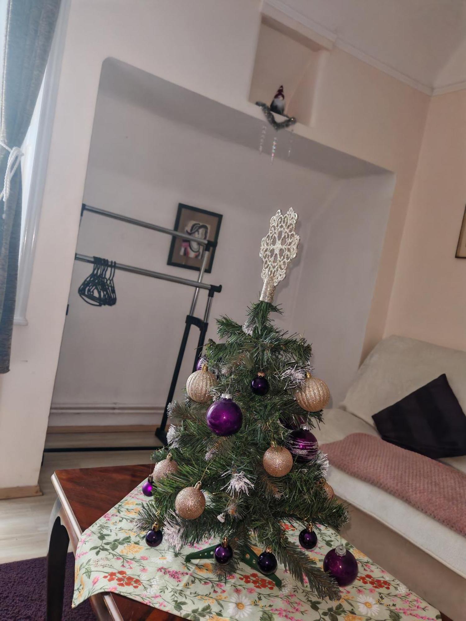 Rakoczi Guesthouse Мишкольц Экстерьер фото